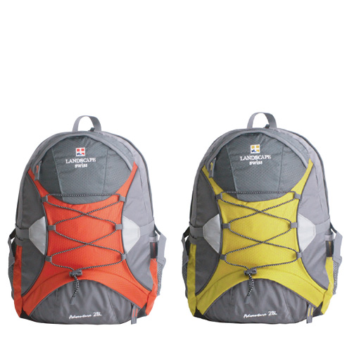 ���� ���賶 WS895