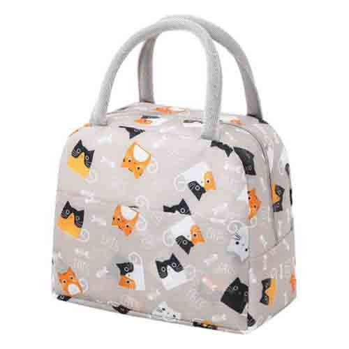 ���ϸ� ĳ���� ���º��ð��� ���ö����� ���¹� ���°���