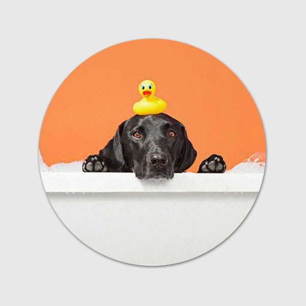 Ǯ�÷� �μ� �̲������� ��Ʈ �Ź�ħ ���� ���� 8, 9, 10cm 