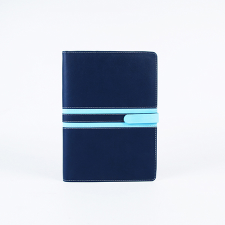 �뷱�� ������ ���̾ 25��