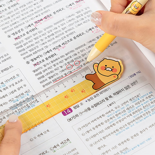 ĳ���� 30cm ��