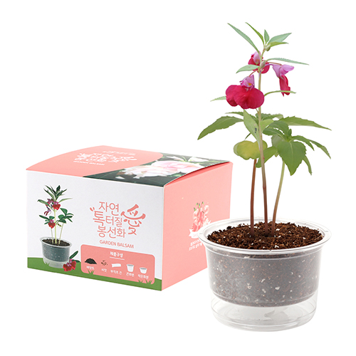 �ڿ��� ���̰��� ���� ���� ȭ�� ŰƮ- ����ȭ (�μ� ��ǰ) 