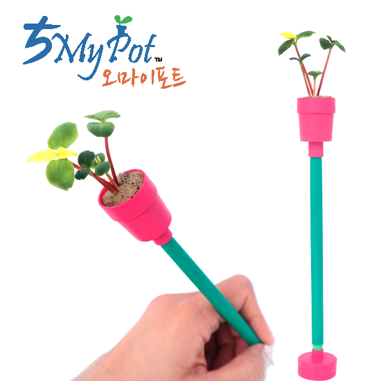 ��������Ʈ- �̴� ȭ�� ���� 