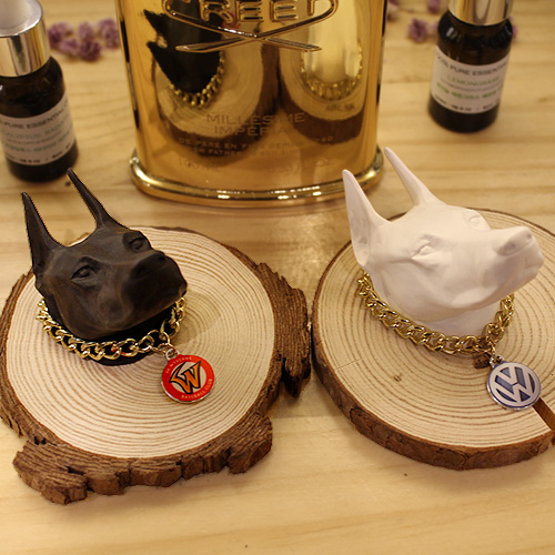 �����̾� ĳ���� ������ (��������)