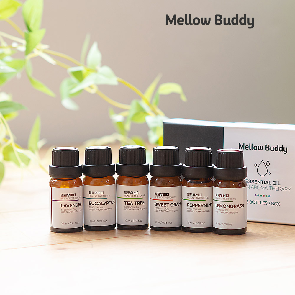 ��ο���� õ�� �Ʒθ����� 6�� ��Ʈ