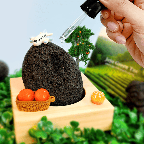 ���ڶ� �ǳ� ������ �����ǻ�� ��ǻ�� ������Ʈ