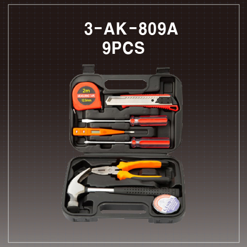 �������̽���Ʈ 3-AK-809A 9�ǽ�