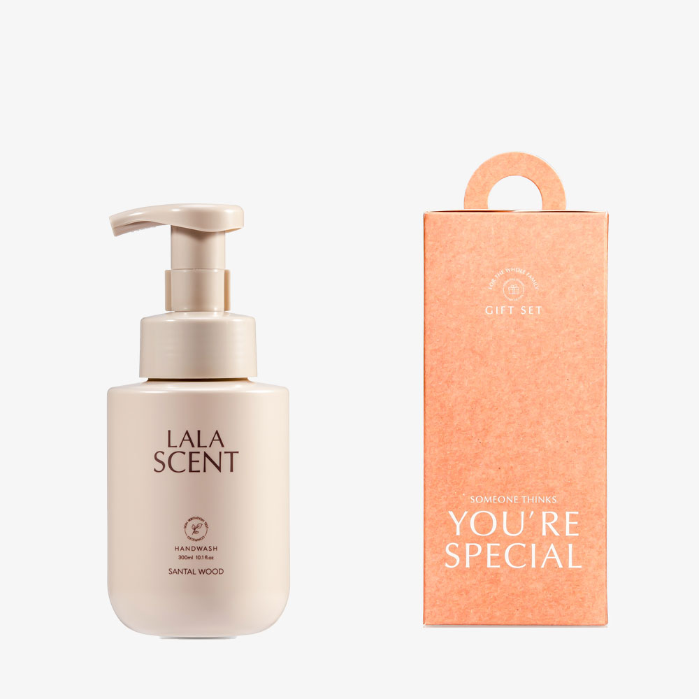 ��� ��Ǿ �ڵ���� ��Ż 300ml 1��