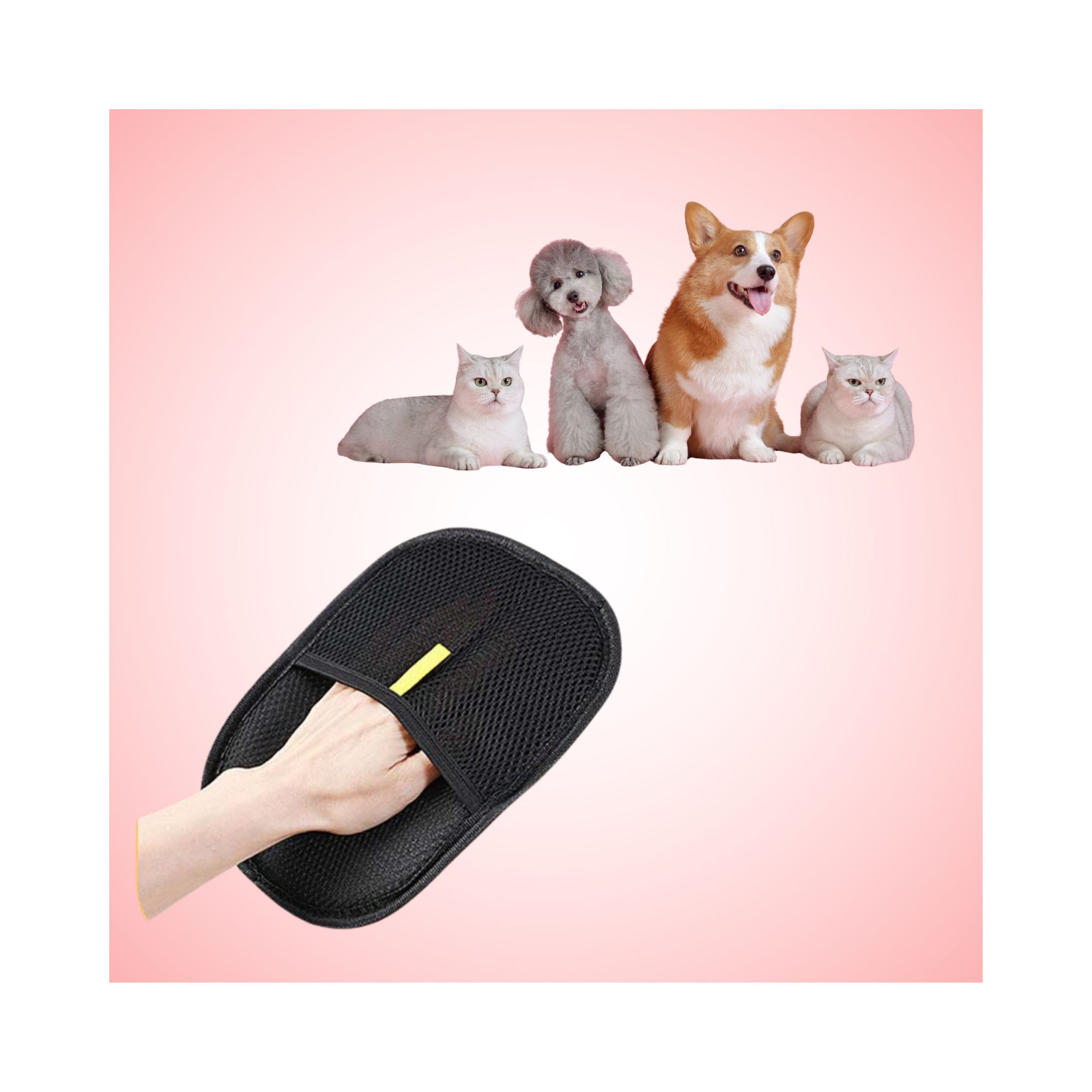 �ֿϿ� �������尩   �����尩  û���尩