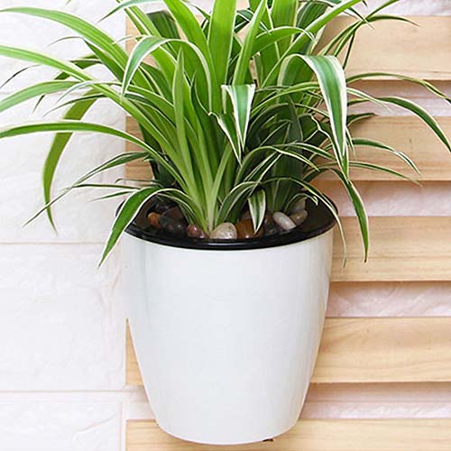 �ǳ����� ���� �ڵ��޼� ������ ȭ�� / ������� ����ȭ��