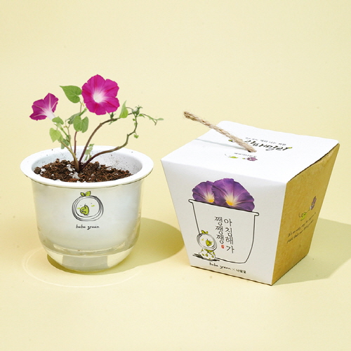 �׸��йи� �Ĺ�ŰƮ-���Ȳ� (�μ��ǰ) 