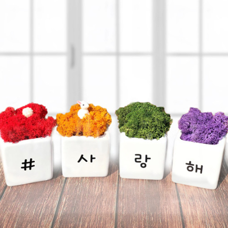 �޼��� ��ĭ��Ƹ� �� ȭ�� ��Ʈ