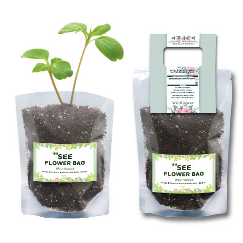 ��(See)�ö����(�߻�ȭ 23��)