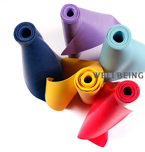 WB-650 �������ؽ� ��� 2M