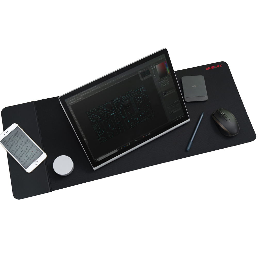 �ӷ��� WP-01 ���� �������� �� �е�