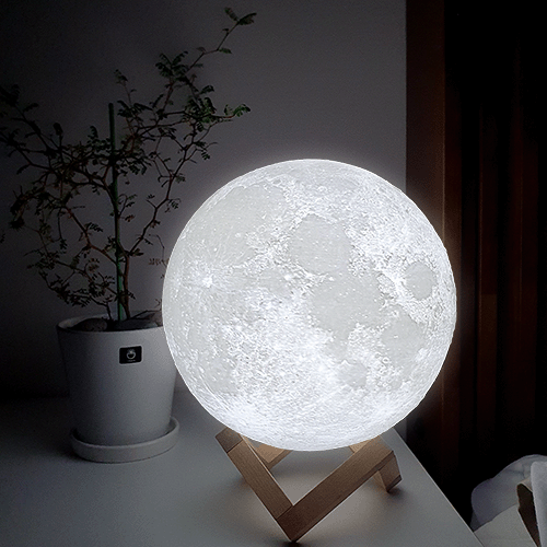 ���ڶ� �޹���� ������