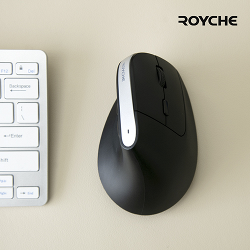 ����ü ������ ���� ���� ��Ƽ�� ���콺 RX-800V