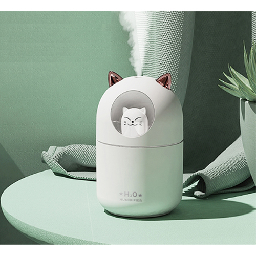 Ĺ�� �ɳ��� ��Ÿ ����� ������ SS21-001