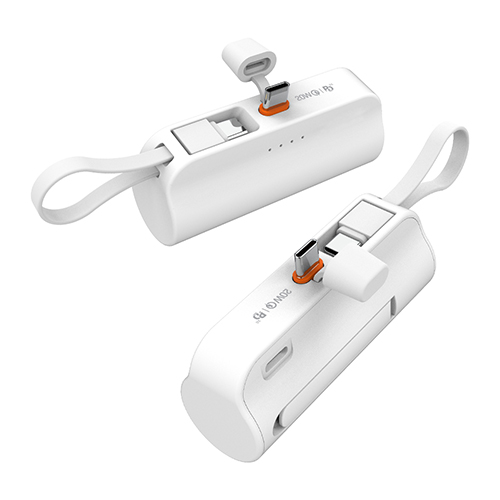 ��� ������ ���� 20W ��ŷ �������͸� PF520