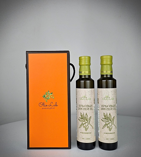 �ø����� ����Ʈ����� �ø������ 2�� ������Ʈ