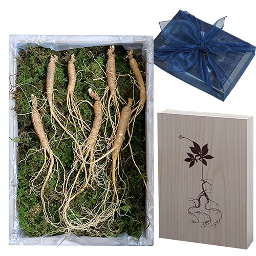 ȿõ ���� ����� 7��� 7�Ѹ� ������Ʈ