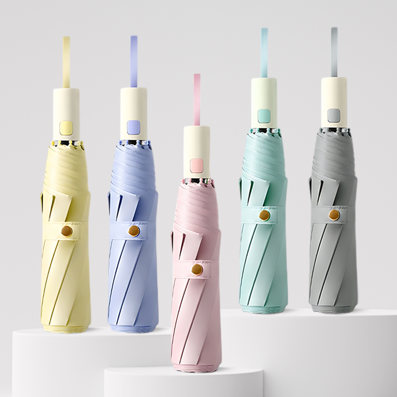 �ȳ� 8K �����ڵ� 3�� �ϸ� ���� (UV���� �ڿܼ�����)