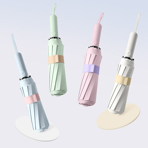 �÷κ�� ����Ʈ�� �Ľ��� 3�� �ϸ�����