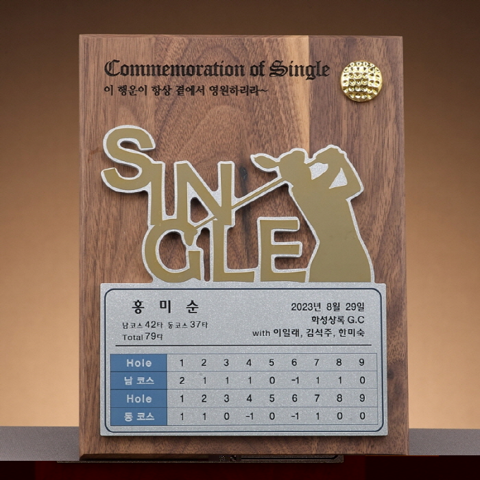 ������� SAM24W022