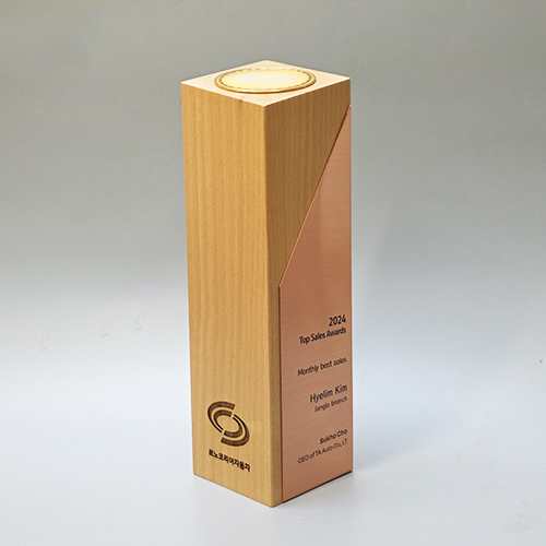 ������� ������ RSN04