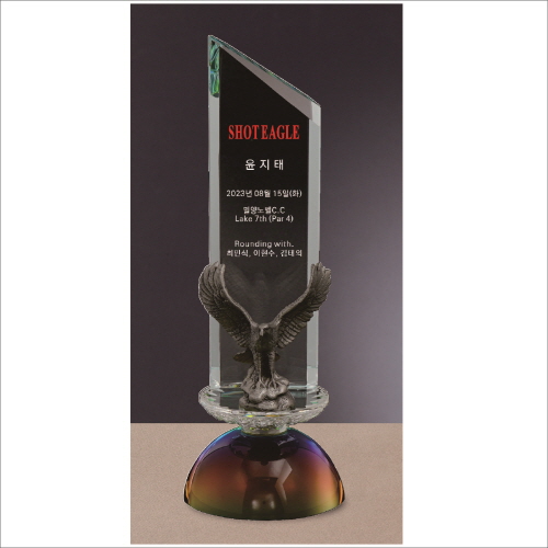 ���� ũ����Ż Ʈ����1