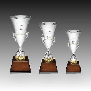 ��� ��ȸ �û� Ʈ���� ����Ƽ C �ֹ�����